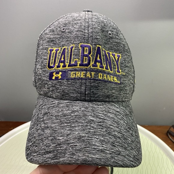 University Albany Great Danes Gray/Purple‎ Baseball Hat Cap Sz.L  Stretch - Picture 1 of 7
